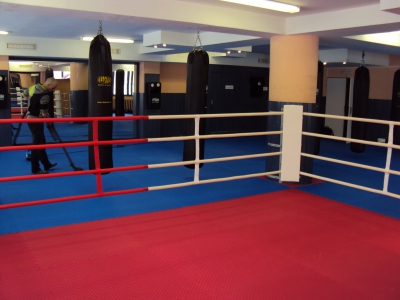Stedyx Fitness boxing ring