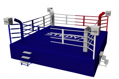 Advertising cube for boxing ring