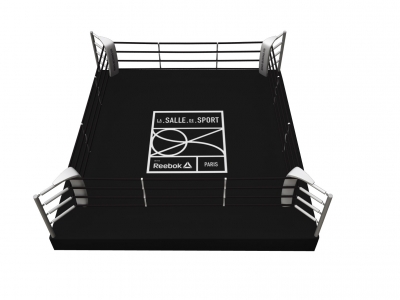Stedyx customized boxing ring floor 30cm
