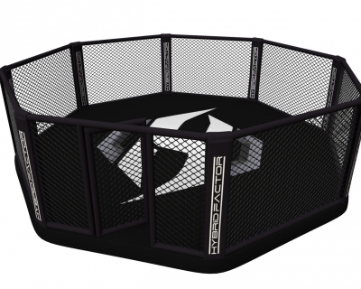 Stedyx customized MMA Octagon 8m