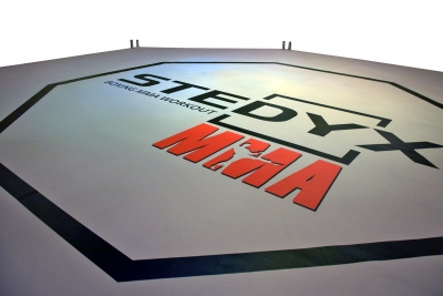 PVC canvas for MMA Octagon by Stedyx