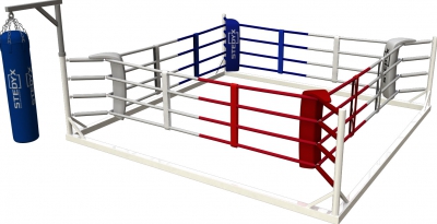 Stedyx Floor boxing ring with boxing bag