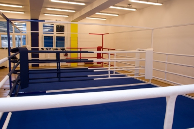 Stedyx Economy boxing ring double