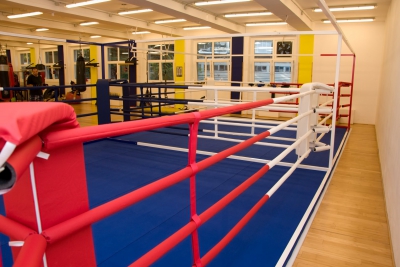 Stedyx Economy boxing ring double