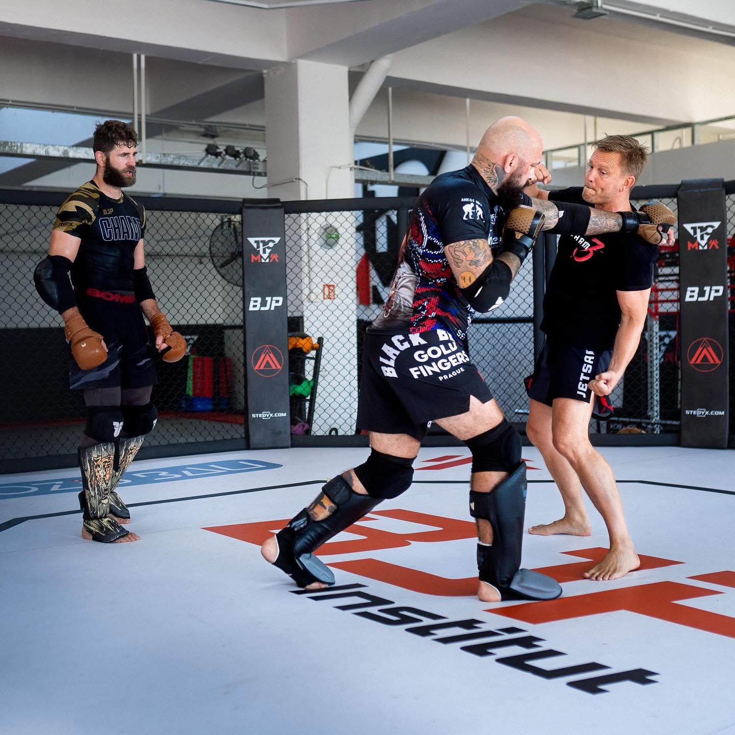 Fighters training inside a Stedyx MMA cage at a professional club