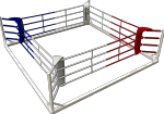 Floor boxing ring