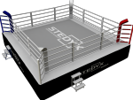 Competition MMA ring