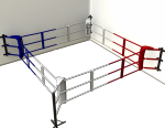 Fitness boxing ring