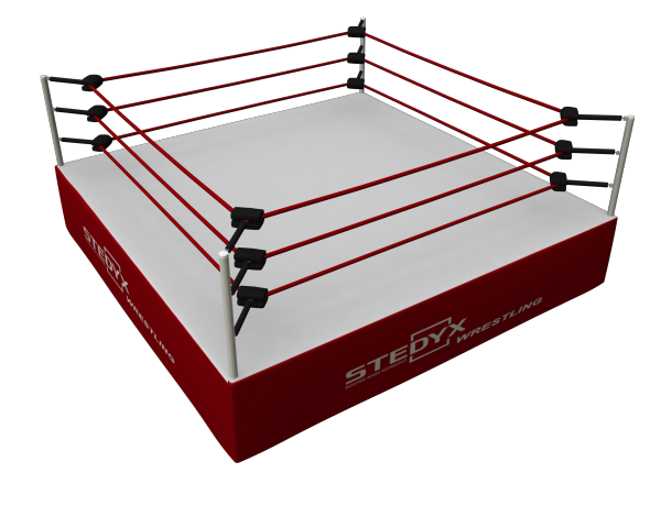 Professional Wrestling Ring 16 X 16 And Guard Rails For Sale By Mike Samples 344537102