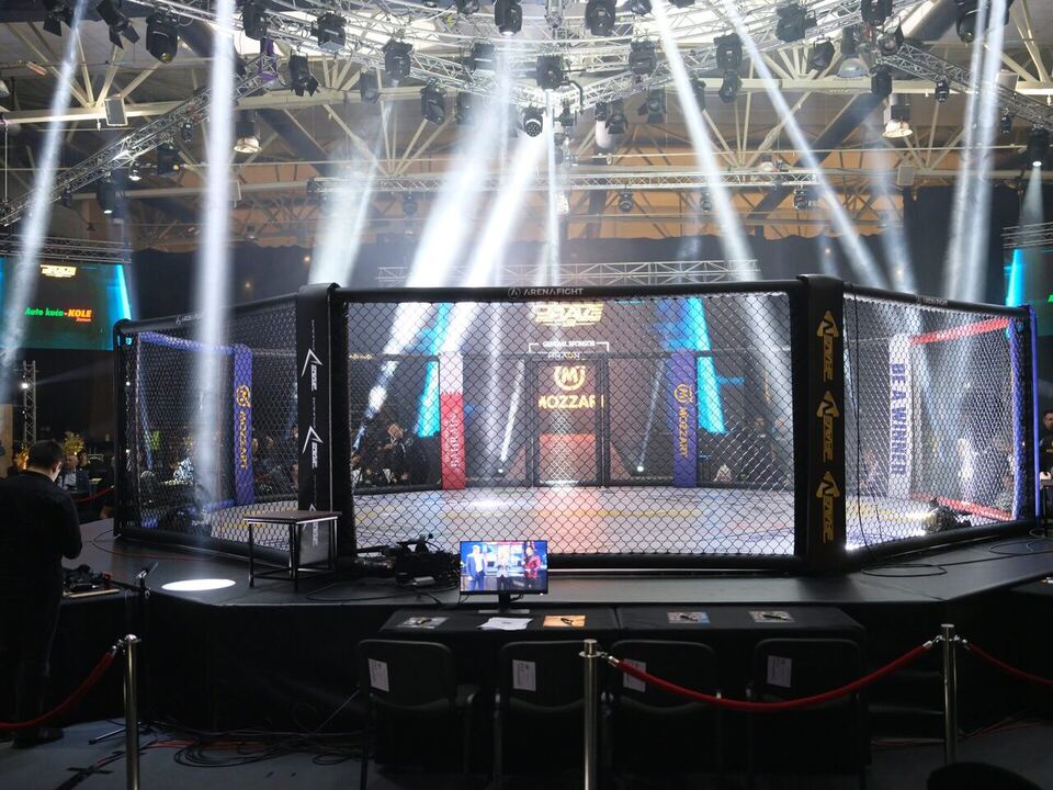 Stedyx MMA cage under arena lights at a professional fight event